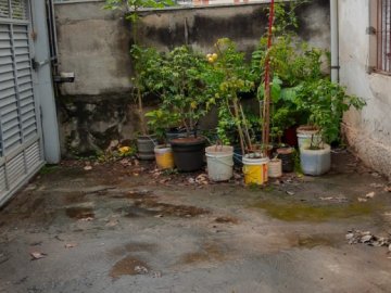 Terreno - Venda - Vila Da Saúde - São Paulo - SP