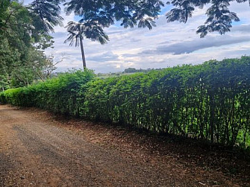 Terreno - Venda - Spring Valley - Porto Feliz - SP